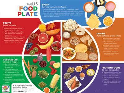 Healthy Food Plate 